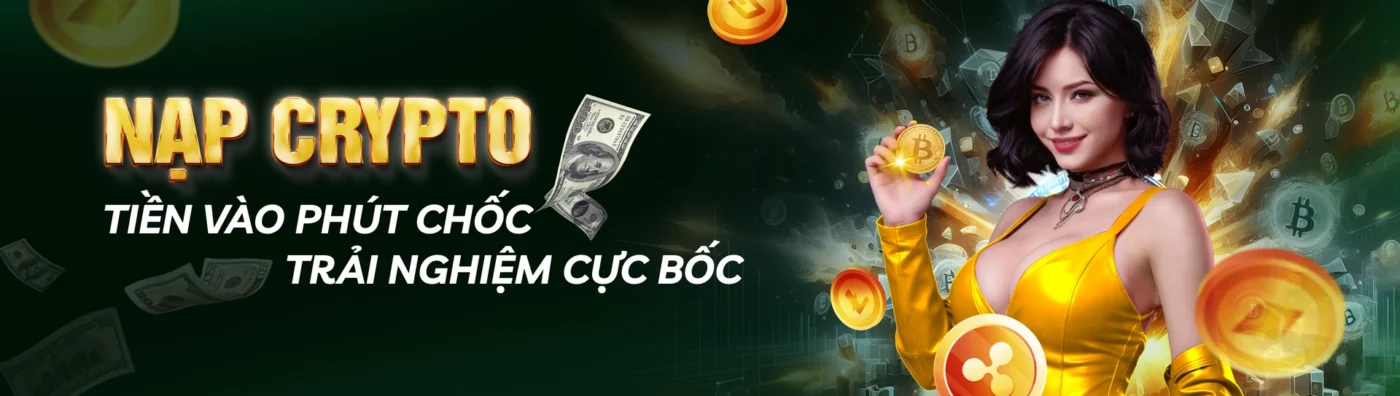 baner febet 2